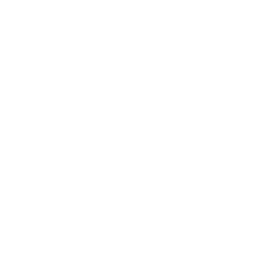 My Pet Walker